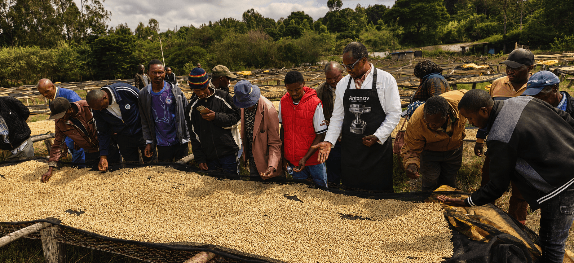 Farmers sorting coffee cherries during an agronomy training session